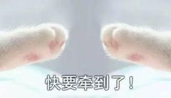 -环球梦主题KTV(曲阳生活购物中心店)
