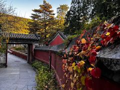 -潭柘寺景区