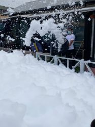 -小蜜蜂农场(凯德七宝购物广场店)