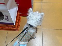 -MARSMART PETS火星宠物超市(1733店)