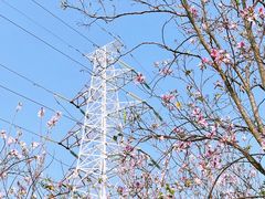 -广东花都湖国家湿地公园