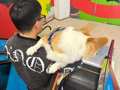 -它主义宠物(梁溪万达店)