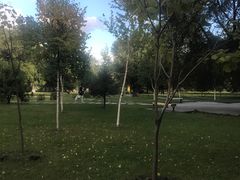 -黑龙江大学