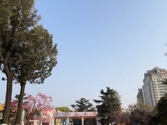 -昆明动物园