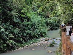 -龙水峡地缝景区