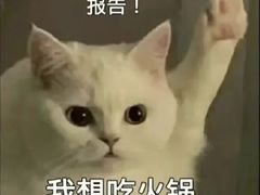 -锅说大脸毛肚重庆老火锅(佐阾店)
