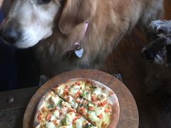 -百好乐宠物友好餐厅(朝外大街店)