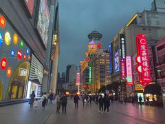 -上海南新雅大酒店
