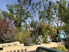 -上海长兴岛郊野公园