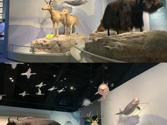 -中国湿地博物馆