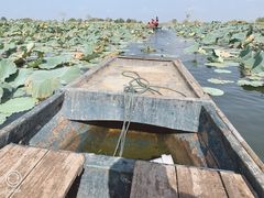 -洪湖生态旅游区