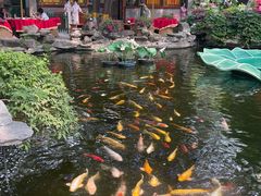 -白家大院·王府宫廷菜(苏州街店)