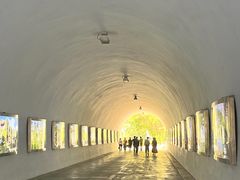 -深圳国际园林花卉博览园