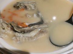 养颜白汁河豚-肆月河豚·新淮扬(金融街店)