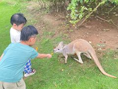 -泉州海丝野生动物世界