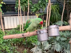 -南宫五洲植物乐园