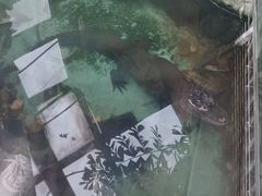 -上海大自然野生昆虫馆(东方明珠·爬宠昆虫探索中心)