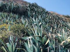 -厦门湾·白塘湾火山公园