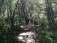 -驼梁风景区