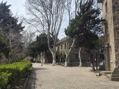 -紫金山天文台