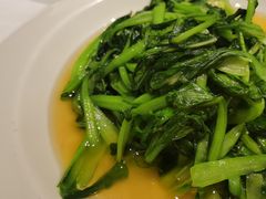 清炒鸡毛菜-乾隆美食·本帮菜(黄河路店)