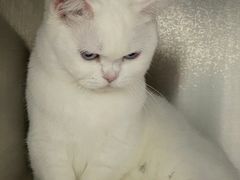 -佳雯宠物医院·皮肤科·内外科(春晓路分院)