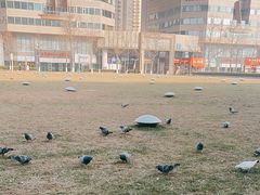 -五四广场