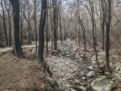 -玉渡山自然风景区