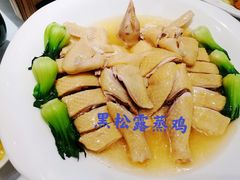 -新兴家喻酒家·羊城名宴(昌岗店)