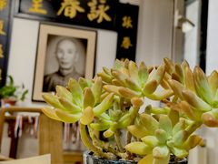 -咏春拳学总会·一拳咏春(双井店)