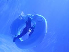 -多彩贵州城极地海洋世界