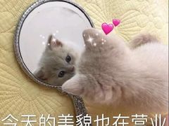 -大学城夜市