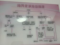 -复旦大学附属妇产科医院(黄浦院区)