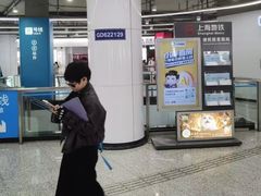 -东方体育中心(地铁站)