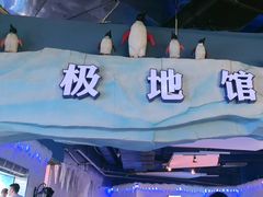 -重庆欢乐海底世界