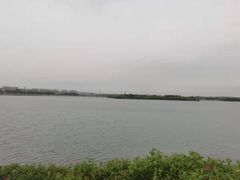 -丁香湖公园