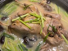 祖传秘制老鸭煲-陈江波老鸭煲(化工路店1号店)