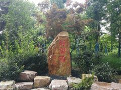 -上海市保健医疗中心