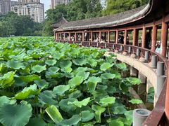 -龙头寺公园