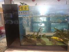 -奉天大饭店(澳海澜庭店)