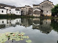 -东梓关景区村庄
