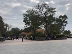 -神光山国家森林公园