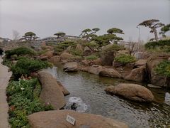 -罗红摄影艺术馆