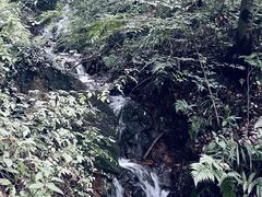-惠山国家森林公园