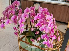 -蝦塘·中国餐馆(城墙南马道巷店)