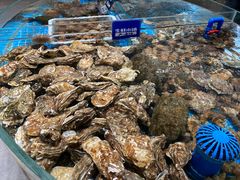 -小船渔村•大连菜•大连焖鱼(黄河路店)