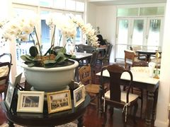 景观位-Fern Forest Cafe