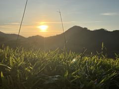 -黄埔油麻山森林公园