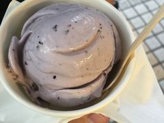 藍莓覆盆子-歎雪糕低糖低脂Gelato冰淇淋