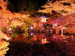 -醍醐寺